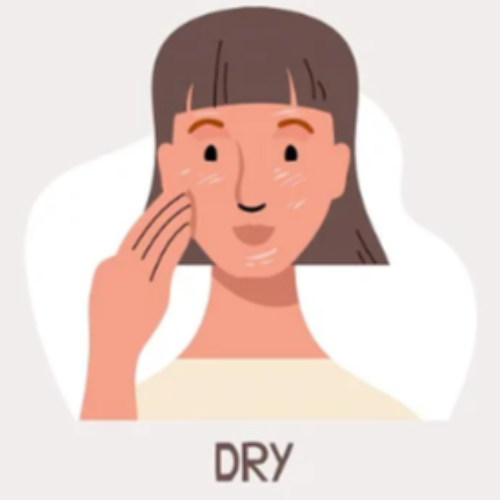 DRY SKIN TYPE