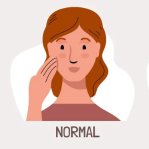 NORMAL SKIN TYPE